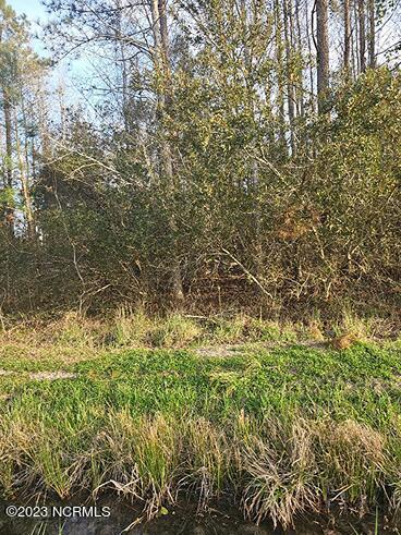 0 Sr 1120 Off Uncorporated, Chocowinity, NC 27817