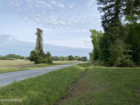215 Avery Rd, Dover, NC 28526 photo 5