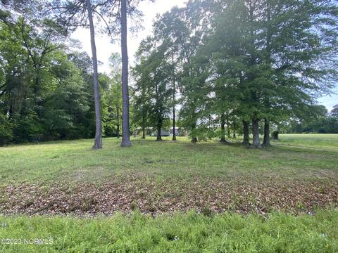 215 Avery Rd, Dover, NC 28526 photo 6