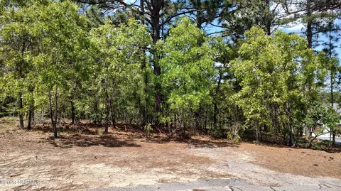 9 Brassie Ln, Jackson Springs, NC 27281
