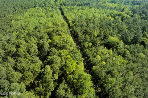 tbd Mcfarland Rd, Laurel Hill, NC 28351