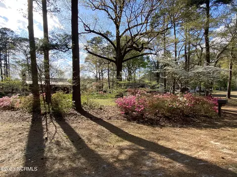 97 Taylor Mill Rd, Eure, NC 27935 photo 48
