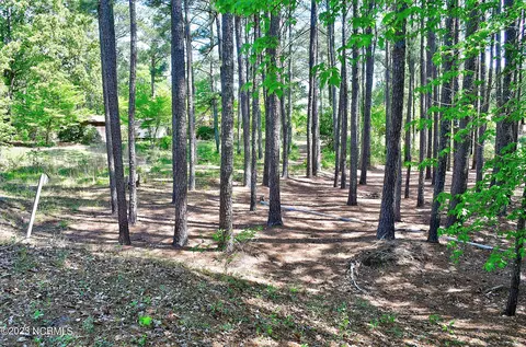 97 Taylor Mill Rd, Eure, NC 27935 photo 16