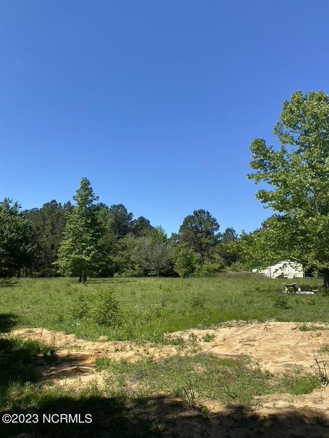 837 Jesse Moore Rd, Ivanhoe, NC 28447 photo 15