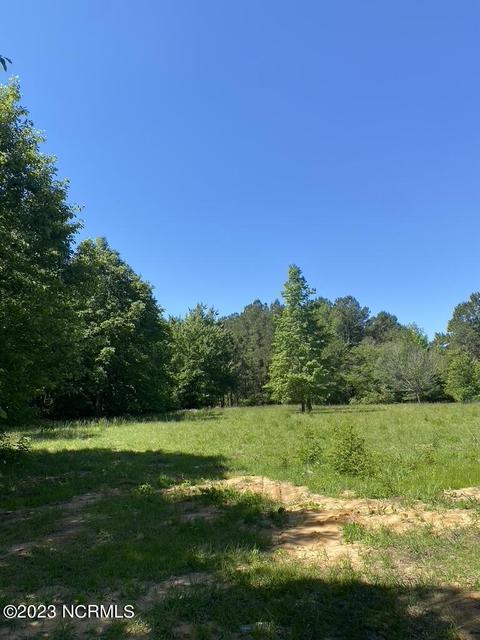837 Jesse Moore Rd, Ivanhoe, NC 28447 photo 14