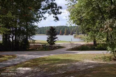 646 Bald Eagle Dr, Vass, NC 28394 photo 45