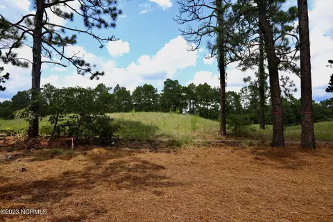 696 Bald Eagle Dr, Vass, NC 28394 photo 39