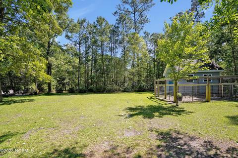 133 Headwaters Dr, Hampstead, NC 28443 photo 38