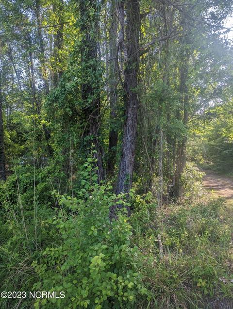 0 Us 117 Hwy, Burgaw, NC 28425