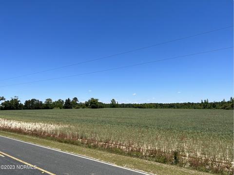 517 Mcdaniels Rd, Roseboro, NC 28382