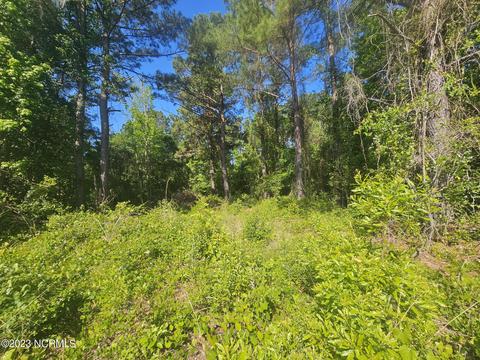 lot8 Dundee Trail Trl, Holly Ridge, NC 28445