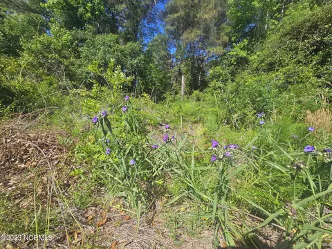 lot7 Dundee Trl, Holly Ridge, NC 28445
