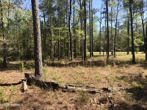 0 Ashton Landing Rd, Bath, NC 27808 photo 9