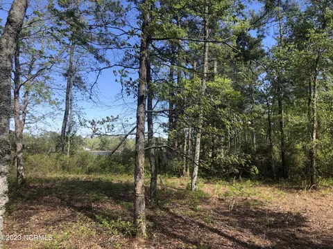 0 Ashton Landing Rd, Bath, NC 27808 photo 18
