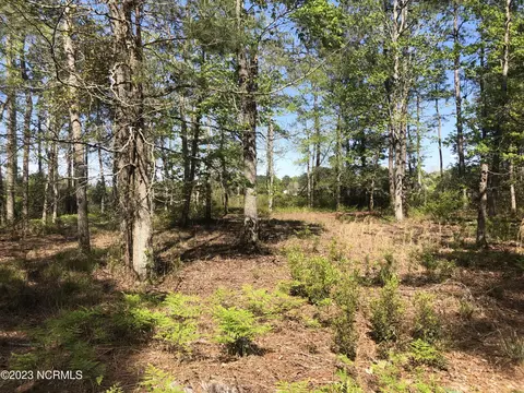 0 Ashton Landing Rd, Bath, NC 27808 photo 14