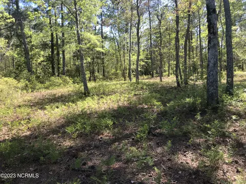 0 Ashton Landing Rd, Bath, NC 27808 photo 23