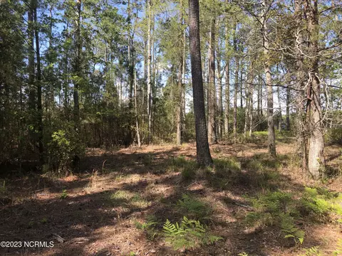 0 Ashton Landing Rd, Bath, NC 27808 photo 13