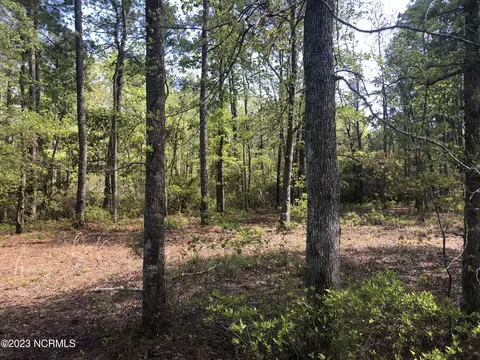 0 Ashton Landing Rd, Bath, NC 27808 photo 19