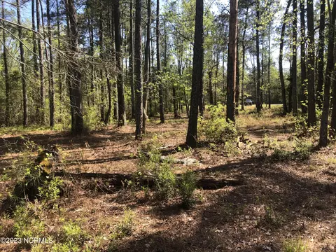 0 Ashton Landing Rd, Bath, NC 27808 photo 16