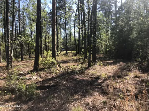 0 Ashton Landing Rd, Bath, NC 27808 photo 17