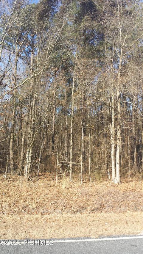 lot47 Treasure Pointe Dr, Bath, NC 27808