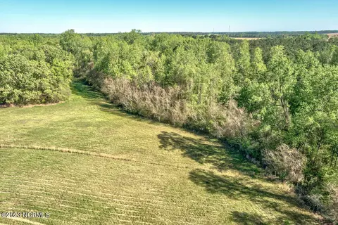 0 Pine Ridge Rd, Faison, NC 28341 photo 12