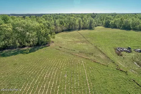 0 Pine Ridge Rd, Faison, NC 28341 photo 10