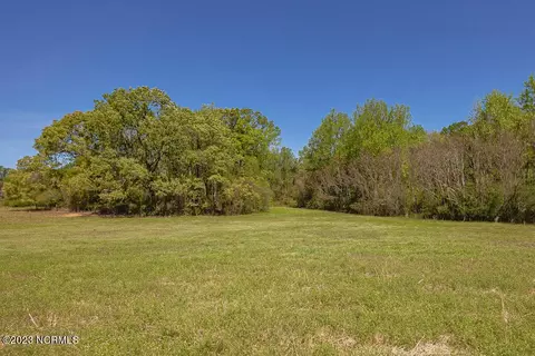 0 Pine Ridge Rd, Faison, NC 28341 photo 25