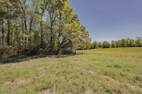 0 Pine Ridge Rd, Faison, NC 28341 photo 21