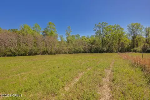 0 Pine Ridge Rd, Faison, NC 28341 photo 26