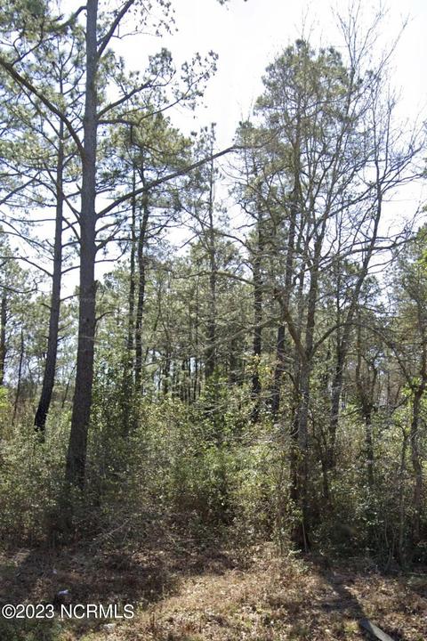 0 Newkirk Rd, Currie, NC 28435