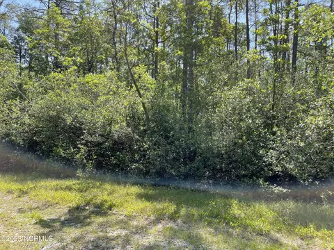 182 Robin Rd, Boiling Spring Lakes, NC 28461 photo 5