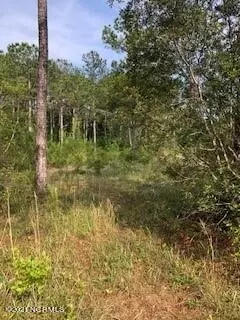 6 Tidewater Ct, Hampstead, NC 28443 photo 3