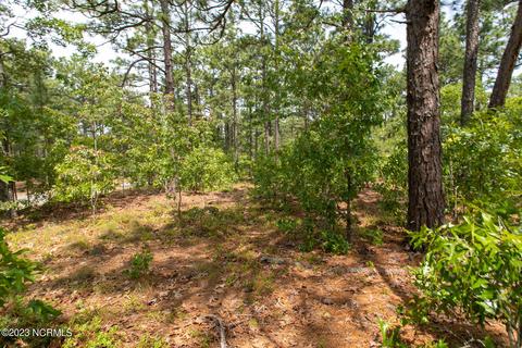 110 Otter Dr, West End, NC 27376