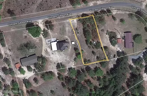 tbd Vincent Gibson Ave, Hoffman, NC 28347 photo 3