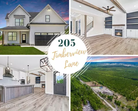 205 Timberview Ln, Beulaville, NC 28518