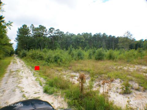 365 Matties Ln, New Bern, NC 28562