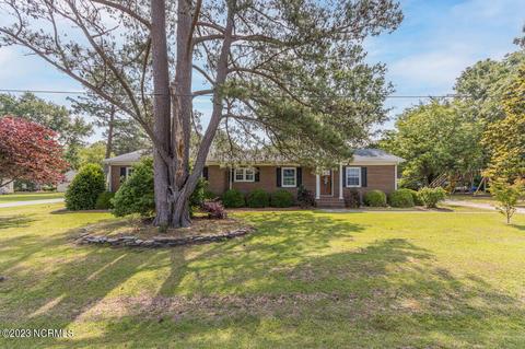 6741 Peele Rd, Bailey, NC 27807 photo 1