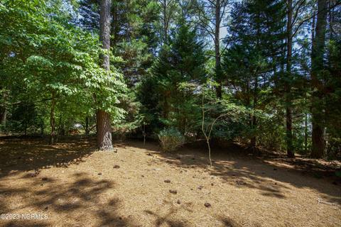 120 Sugar Pine Dr, Pinehurst, NC 28374 photo 52