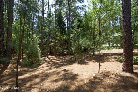 120 Sugar Pine Dr, Pinehurst, NC 28374 photo 54