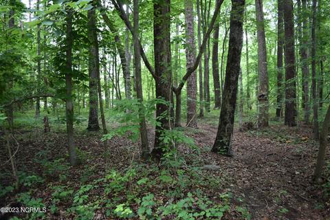 lot43 Cottonwood Dr, Blounts Creek, NC 27814