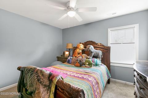 9715 Chapman Rd, Bailey, NC 27807 photo 33