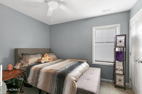 9715 Chapman Rd, Bailey, NC 27807 photo 30