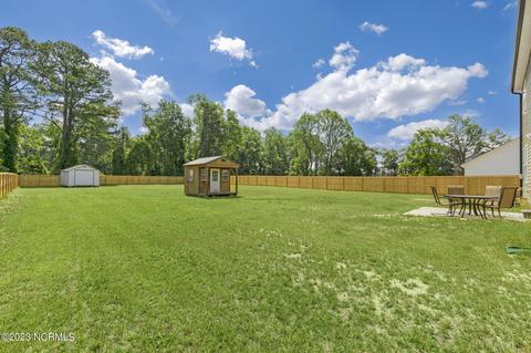 9715 Chapman Rd, Bailey, NC 27807 photo 8