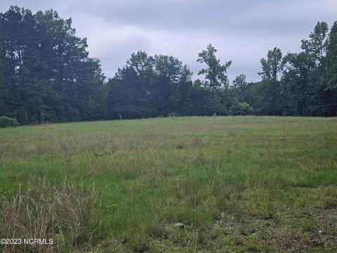 3 Piney Woods Road, Willard, NC 28478 photo 9