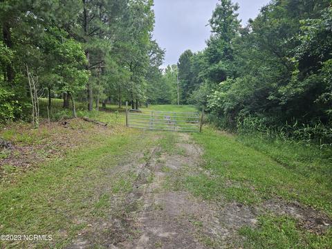 3 Piney Woods Road, Willard, NC 28478 photo 4