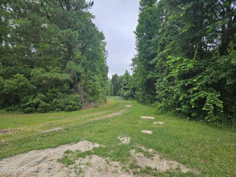 3 Piney Woods Road, Willard, NC 28478 photo 3