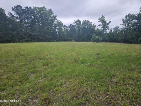 3 Piney Woods Road, Willard, NC 28478 photo 7