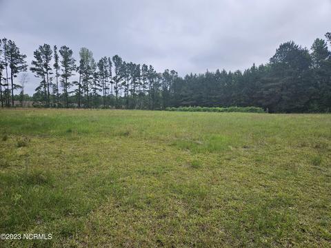 3 Piney Woods Road, Willard, NC 28478 photo 6