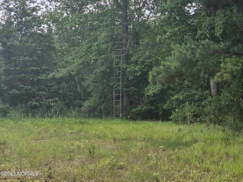 3 Piney Woods Road, Willard, NC 28478 photo 11